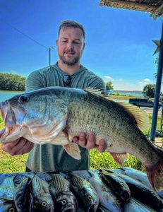 Largemouth bass caught in Cleburne