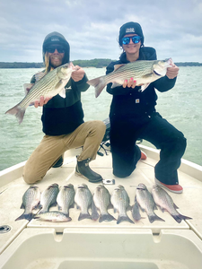 6 hybrid striped bass and striped bass caught fishing in TX