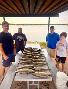 Six great barracuda, 16 inches long, caught while fishing in Cleburne
