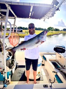 Striped bass caught in Cleburne