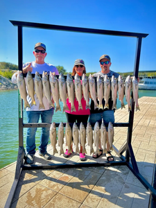 Three striped bass caught in TX