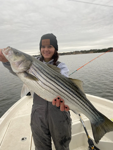 Striped bass caught in TX