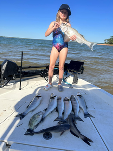 9 striped bass fish caught in TX