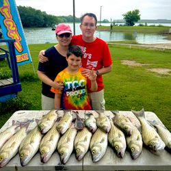 8 wiper (hybrid striped bass) fish caught in TX