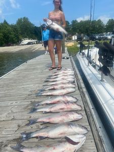 6 fishing in sc