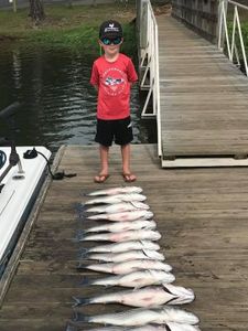 1 angler fishing in SC