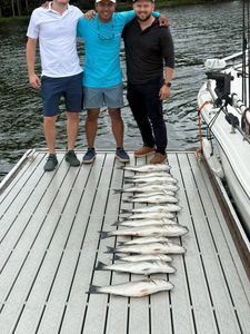 Two anglers with their catch of 4 fish in SC