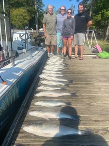 Three large fish caught at Lake Murray