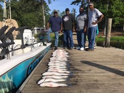 Four anglers enjoying a fishing trip at Lake Murray