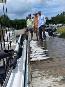 Three anglers fishing at Lake Murray
