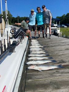 Two striped bass caught at Lake Murray