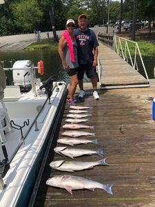 4 bluefish, 40 inches long, caught fishing in SC