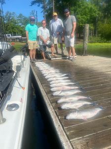 Three fish caught at Lake Murray