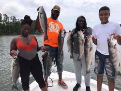 Five striped bass caught fishing at Lake Murray