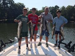 5 striped bass fish caught at Lake Murray