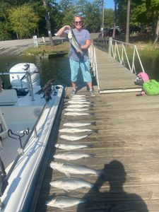 5 blasted big fish caught while fishing in SC