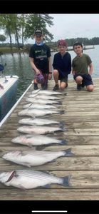4 striped bass and bluefish caught fishing at Lake Murray