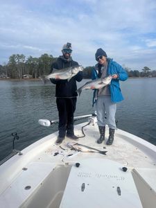 Two striped bass caught fishing in SC