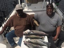 Striped bass caught by fisherman in SC