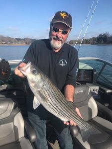 Striped bass caught fishing in SC
