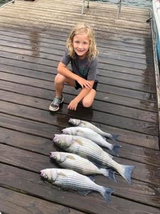 Two striped bass caught at Lake Murray