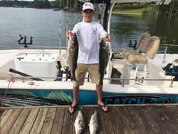 3 Striped Bass, caught while fishing at Lake Murray