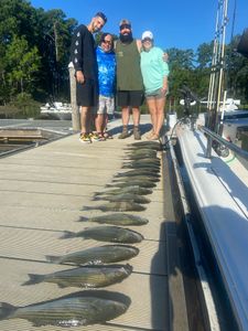 5 striped bass caught while fishing at Lake Murray