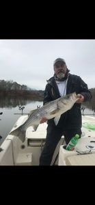 Striped bass caught while fishing in SC