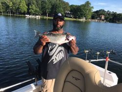 Striped Bass caught while fishing in SC