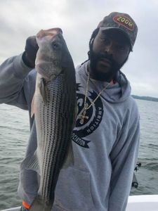 Striped bass caught while fishing in SC
