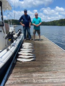 Striped bass fishing in SC