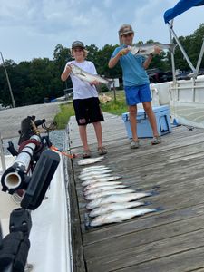 Striped bass fishing in SC