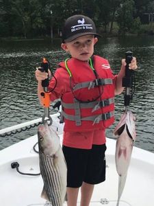 Striped Bass, 14 inches, caught fishing in SC