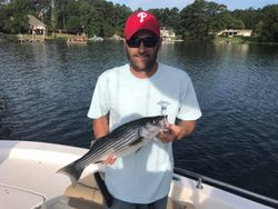 Striped bass caught while fishing in SC