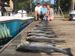 Two striped bass caught in South Carolina