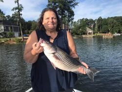 Striped bass caught fishing at Lake Murray