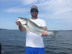 Striped bass, 28 inches, caught while fishing at Lake Murray