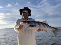 Striped bass caught while fishing at Lake Murray