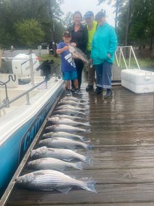 Two striped bass caught at Lake Murray