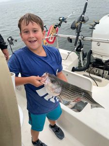 Striped bass caught while fishing at Lake Murray