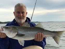 Striped bass measuring 24 inches caught at Lake Murray