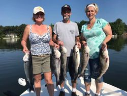 6 striped bass caught while fishing at Lake Murray
