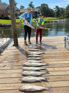 Four striped bass caught while fishing at Lake Murray