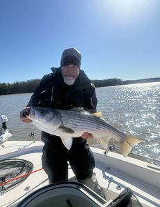 Striped Bass fishing at Lake Murray