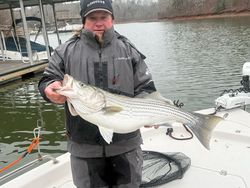 Striped bass fishing at Lake Murray
