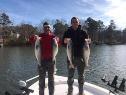 Striped bass caught from Lake Murray by 2 people