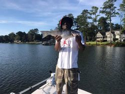 Striped bass fish caught at Lake Murray