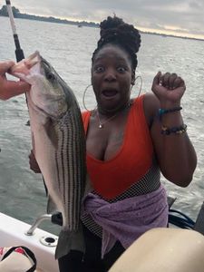 Striped bass caught fishing at Lake Murray
