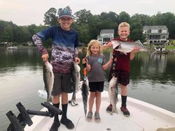 Striped bass caught during fishing trip at Lake Murray