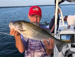 Striped bass caught while fishing in South Carolina